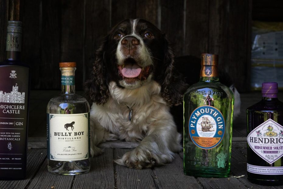 Gin Pairing Reklis