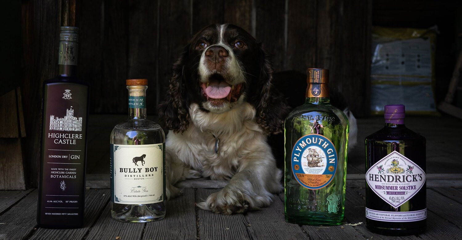 Gin Pairing Reklis